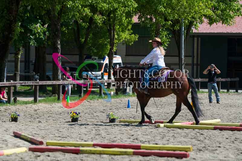 DSC_3164.jpg